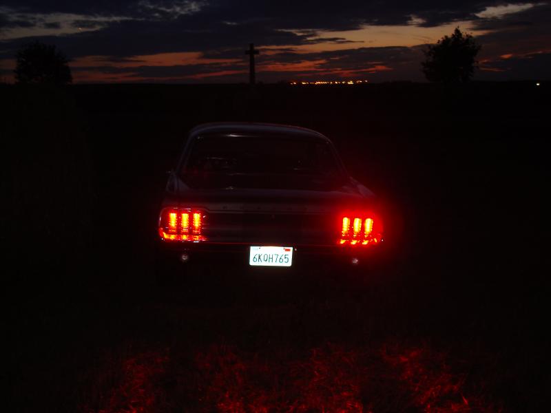 DSC02943.JPG